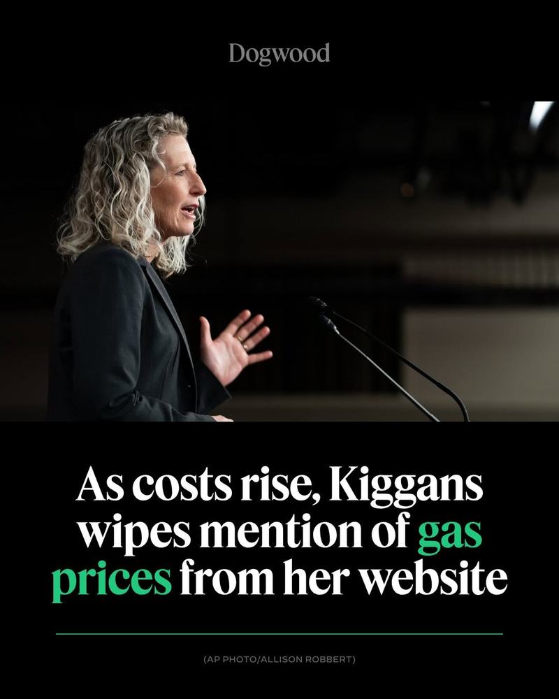 Image of Kiggans and text: As costs rise, Kiggans wipes mention of gas prices from her website